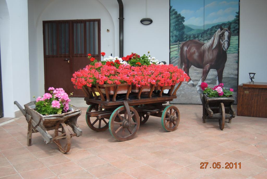 La Pioppa Agriturismo ساتْشيلي المظهر الخارجي الصورة