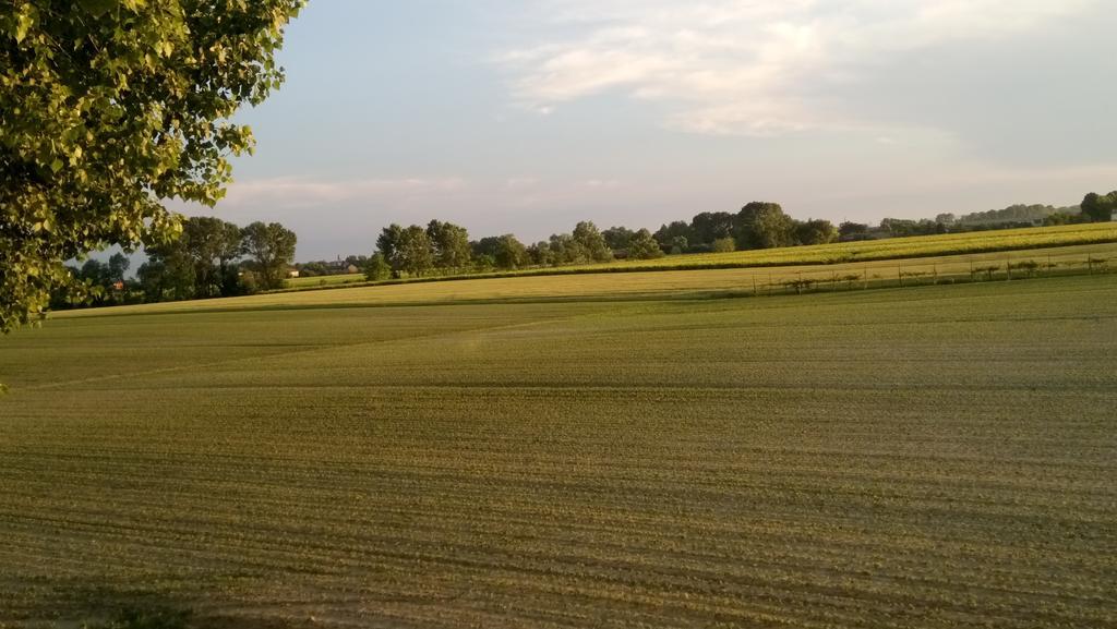 La Pioppa Agriturismo ساتْشيلي المظهر الخارجي الصورة