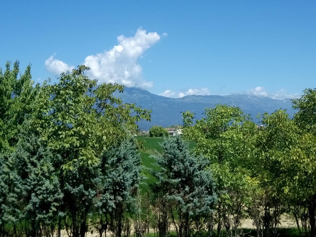 La Pioppa Agriturismo ساتْشيلي المظهر الخارجي الصورة